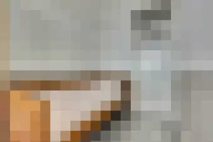 Rijnweg 232 Monster thumbnail 20