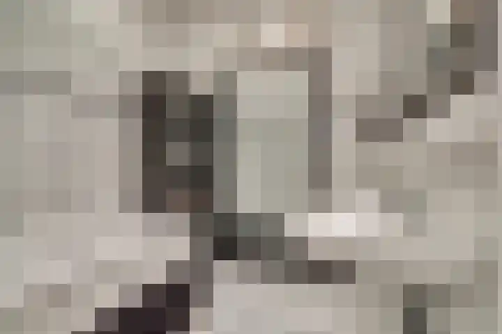 Rijnweg 232 Monster thumbnail 23