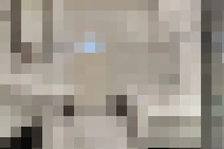 Rijnweg 232 Monster thumbnail 24