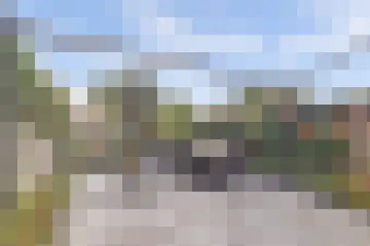 Rijnweg 232 Monster thumbnail 27