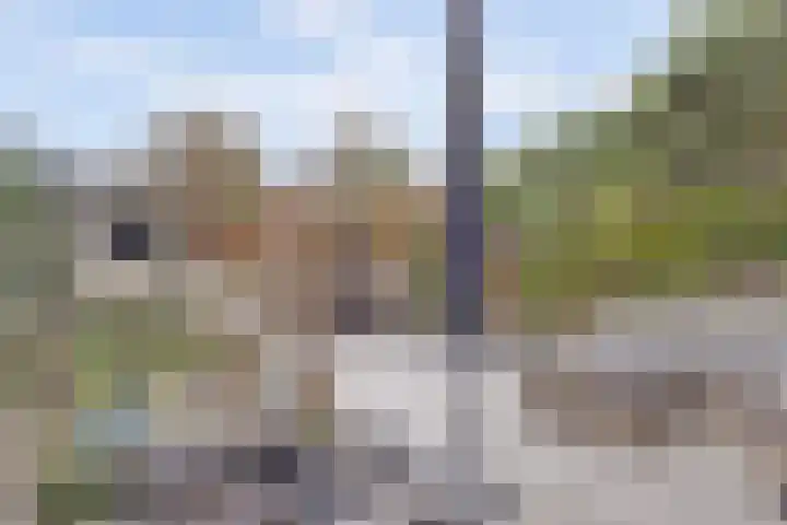 Rijnweg 232 Monster thumbnail 28