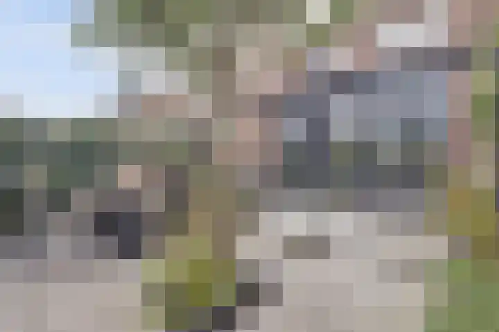 Rijnweg 232 Monster thumbnail 31