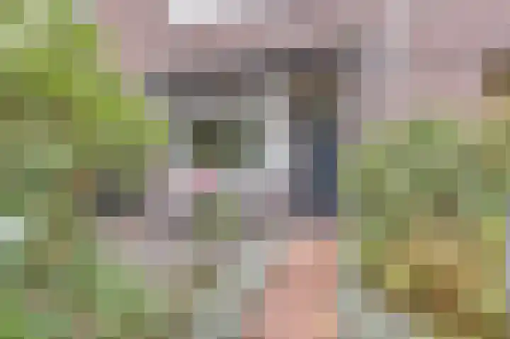 Rijnweg 232 Monster thumbnail 33