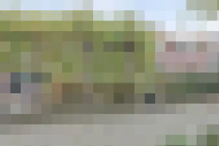 Rijnweg 232 Monster thumbnail 34