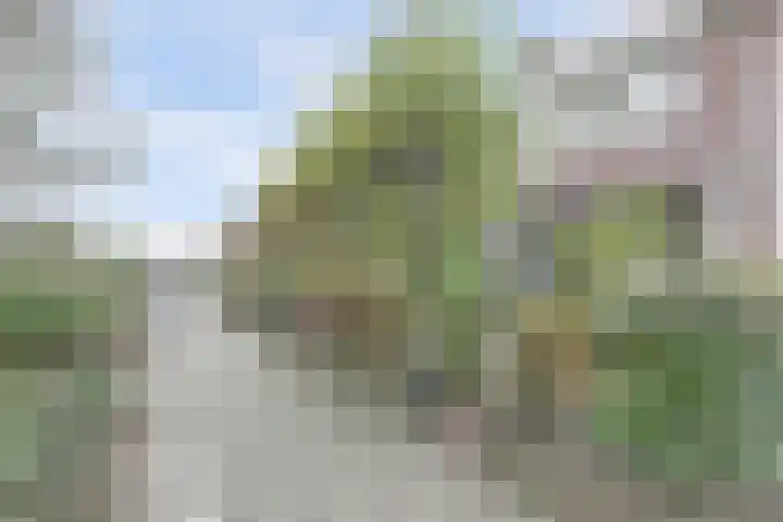 Rijnweg 232 Monster thumbnail 35