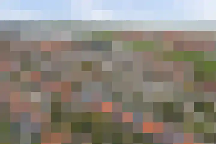 Rijnweg 232 Monster thumbnail 38