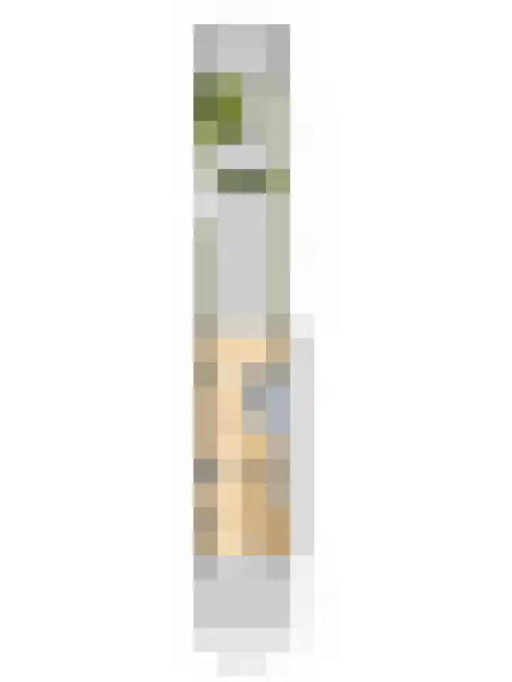 Rijnweg 232 Monster thumbnail 49