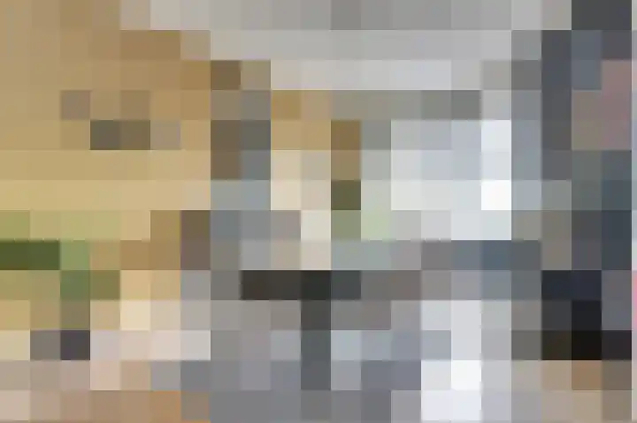 Rijnweg 232 Monster thumbnail 7