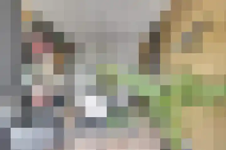 Rijnweg 232 Monster thumbnail 8