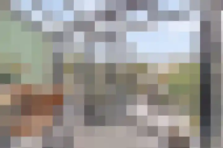 Rijnweg 232 Monster thumbnail 9