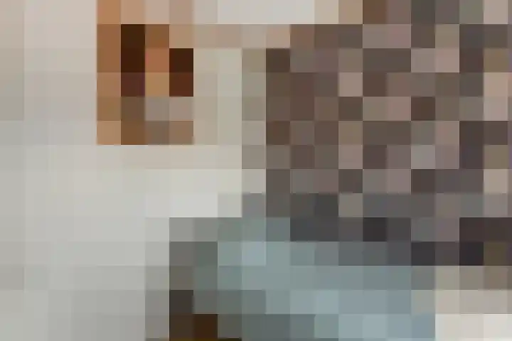 Rijnweg 235 Monster thumbnail 12