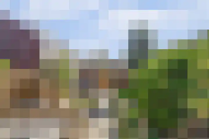 Rijnweg 235 Monster thumbnail 16