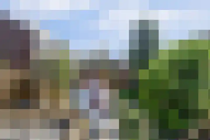 Rijnweg 235 Monster thumbnail 17