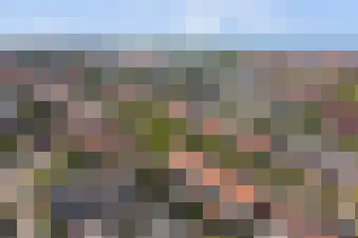 Rijnweg 235 Monster thumbnail 24