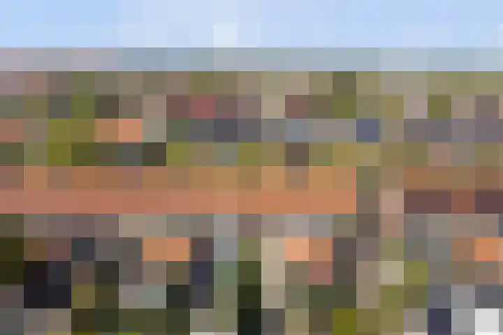 Rijnweg 235 Monster thumbnail 25