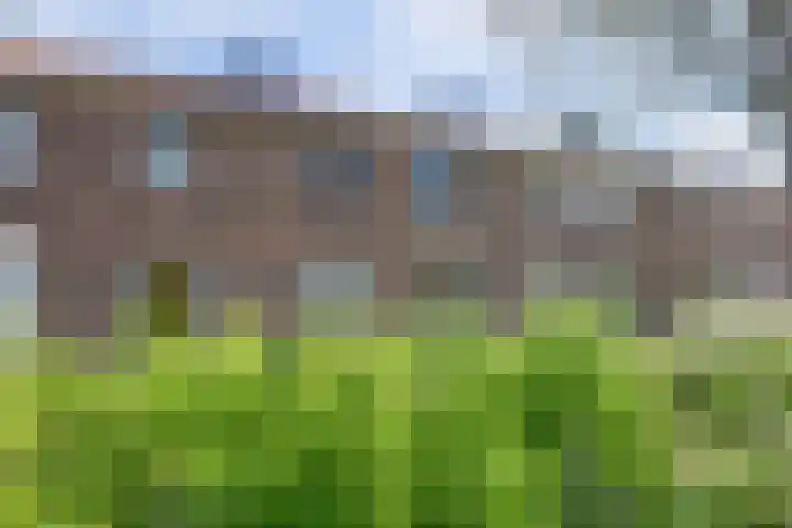 Rijnweg 235 Monster thumbnail 26