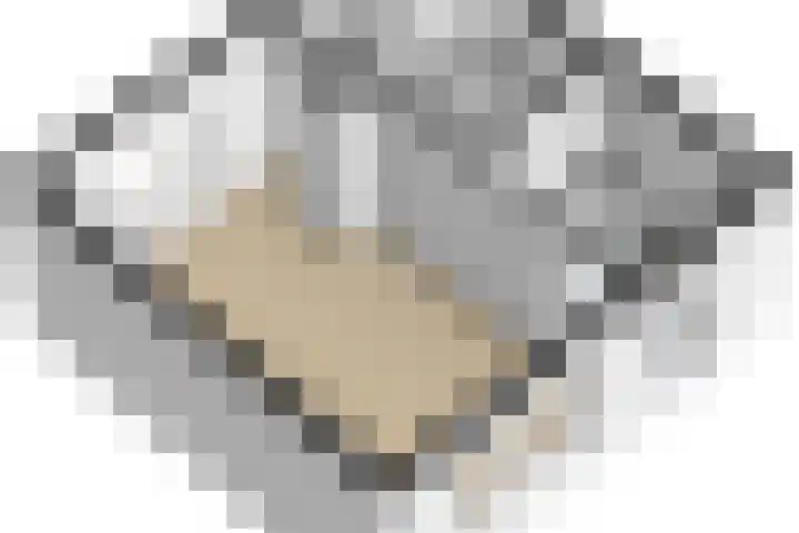 Rijnweg 235 Monster thumbnail 30