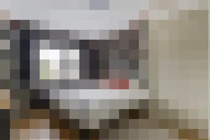 Rijnweg 235 Monster thumbnail 9