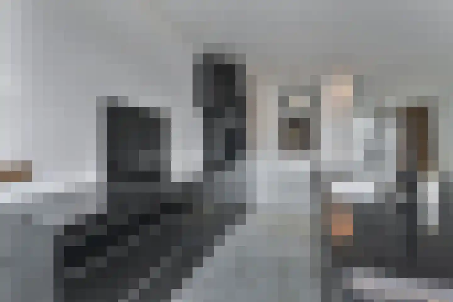 Rijnweg 260 Monster thumbnail 9