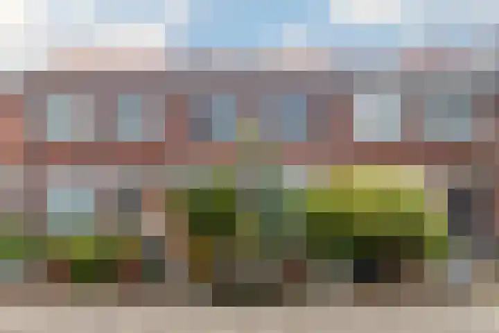 Rijnweg 283 Monster thumbnail 30