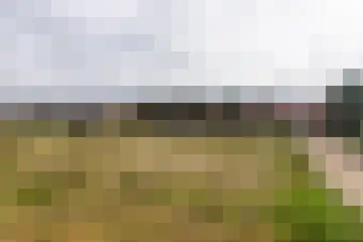 Rijnweg 283 Monster thumbnail 32