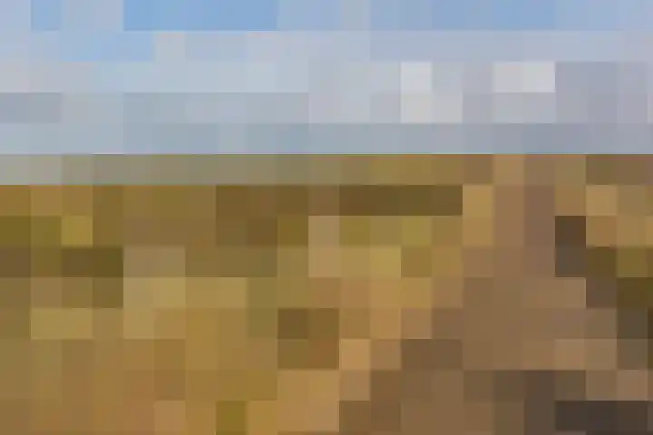 Rijnweg 283 Monster thumbnail 34