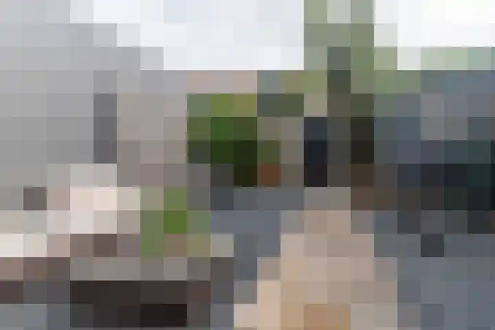 Rijnweg 283 Monster thumbnail 4