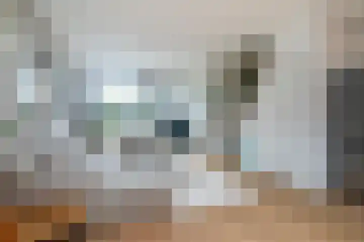 Rijnweg 283 Monster thumbnail 7