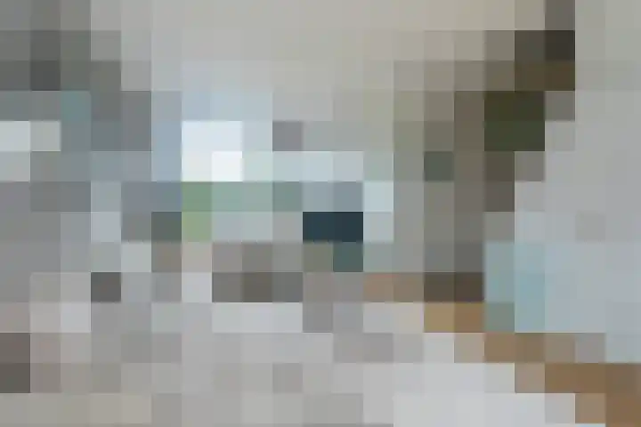 Rijnweg 283 Monster thumbnail 8