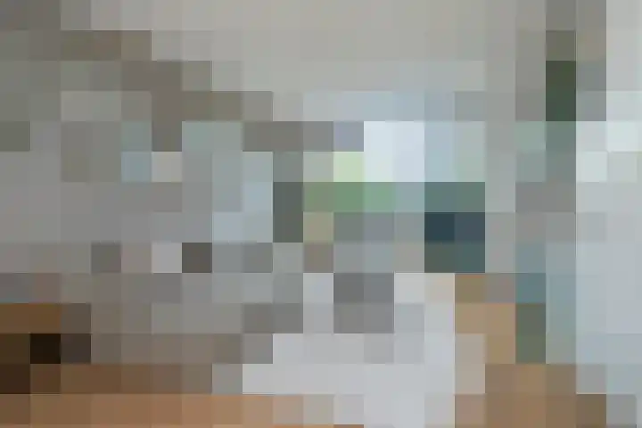 Rijnweg 283 Monster thumbnail 9