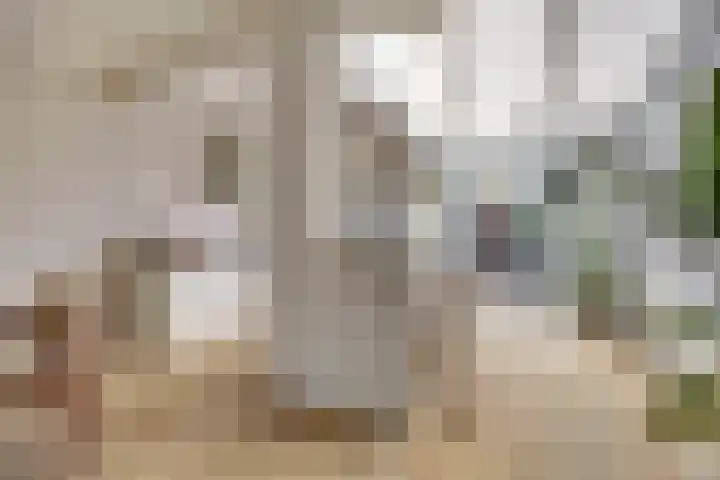 Rijnweg 291 Monster thumbnail 11