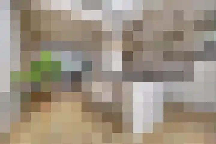 Rijnweg 291 Monster thumbnail 12