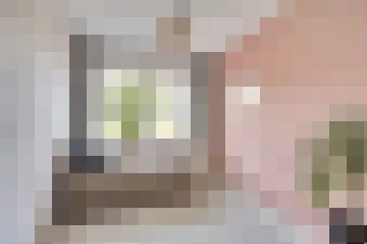 Rijnweg 291 Monster thumbnail 20
