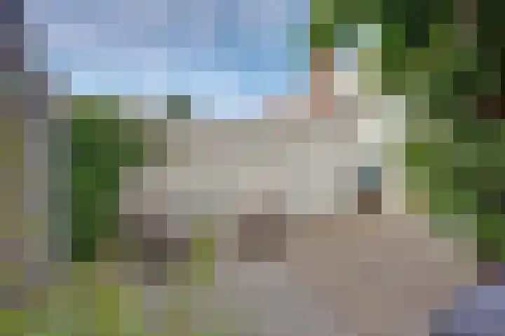 Rijnweg 291 Monster thumbnail 26