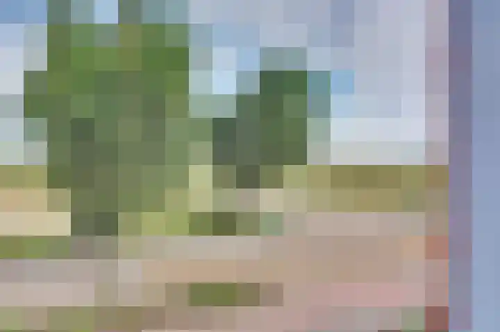 Rijnweg 291 Monster thumbnail 29