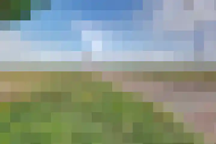 Rijnweg 291 Monster thumbnail 34