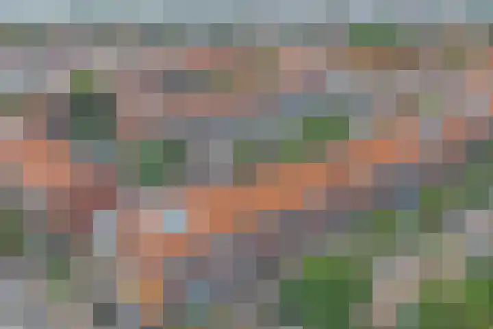 Rijnweg 291 Monster thumbnail 35