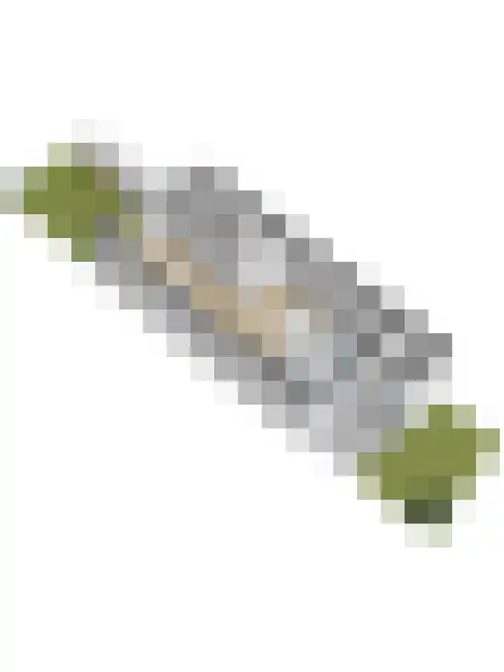 Rijnweg 291 Monster thumbnail 46
