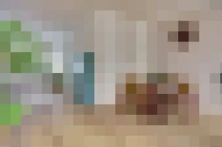Rijnweg 291 Monster thumbnail 8