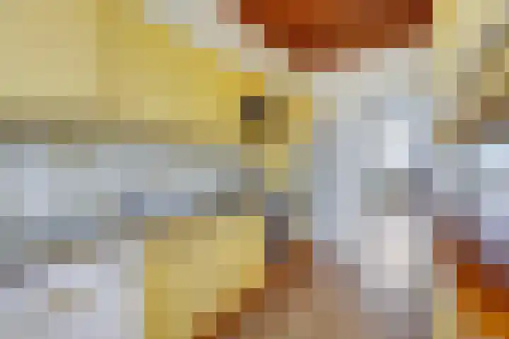 Rijnweg 301 Monster thumbnail 20