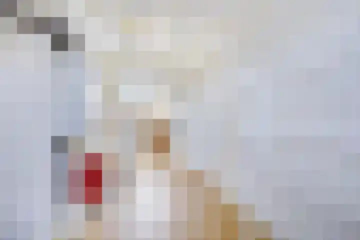 Rijnweg 301 Monster thumbnail 38