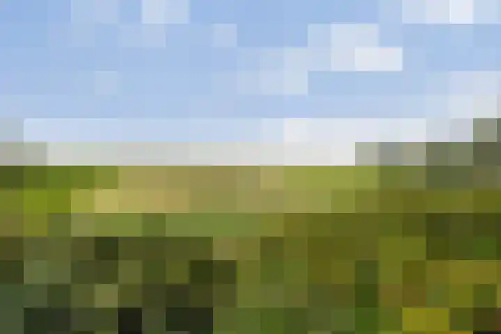 Rijnweg 301 Monster thumbnail 48