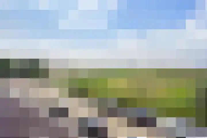 Rijnweg 301 Monster thumbnail 49
