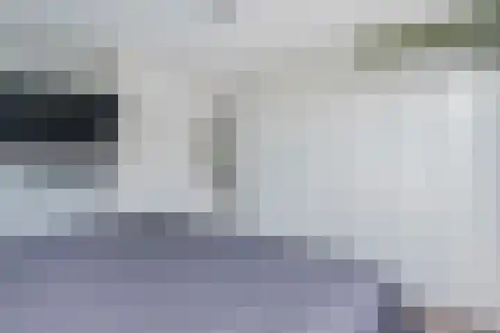 Rijnweg 36 Monster thumbnail 17