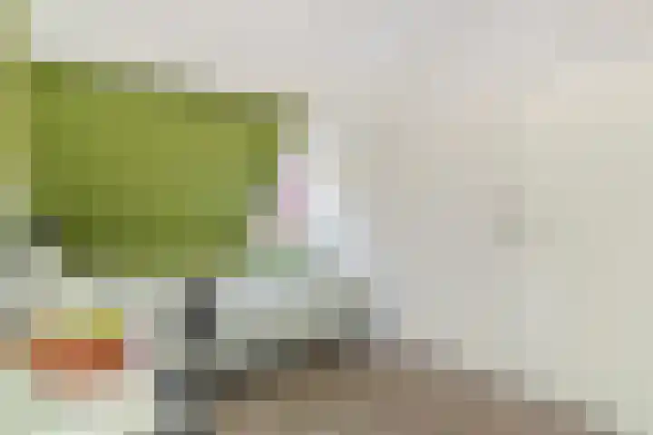 Rijnweg 36 Monster thumbnail 18