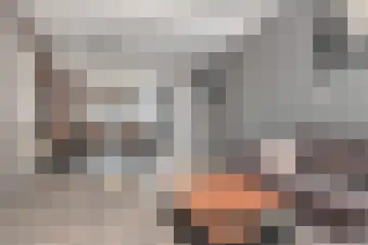 Rijnweg 36 Monster thumbnail 4