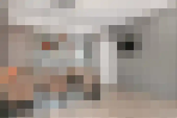 Rijnweg 36 Monster thumbnail 7