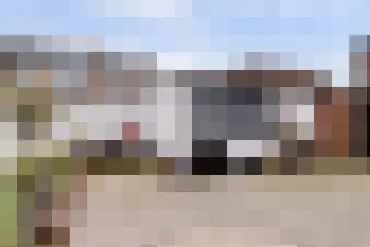 Rijnweg 41 Monster thumbnail 23