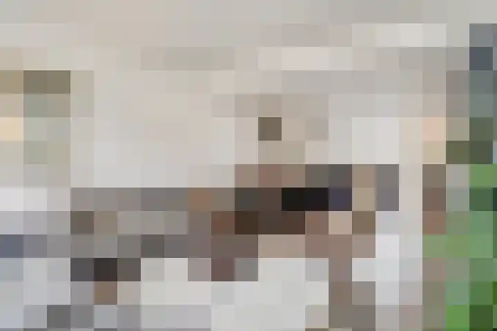 Rijnweg 41 Monster thumbnail 4