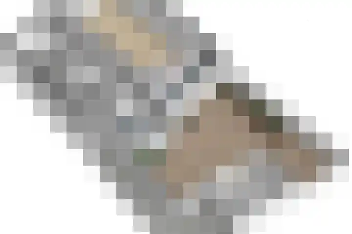 Rijnweg 41 Monster thumbnail 41